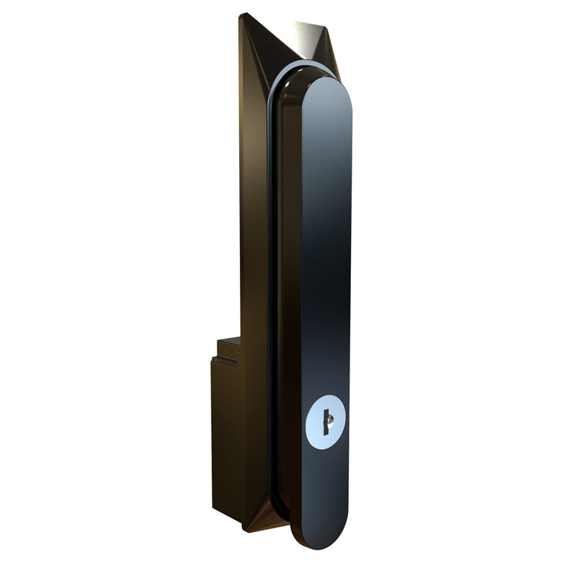 Hammond HMEH Series Diecast swing handle with key locking (black)