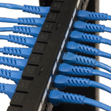 Patch Panel CAT6 Feed Through